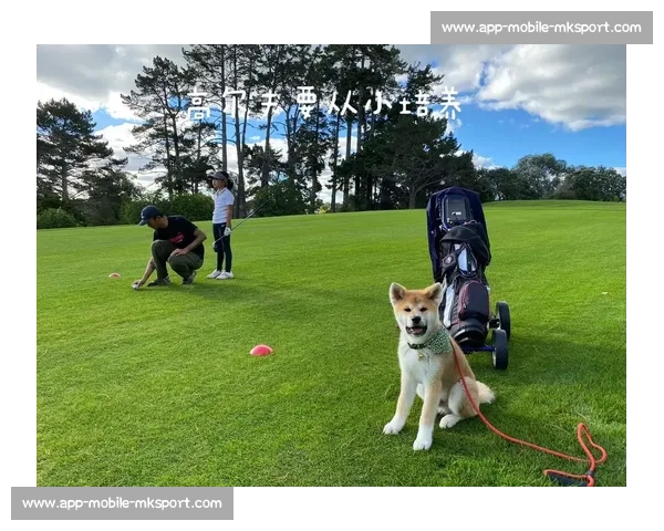 年前背洞的球童小姐姐，年后竟成大赛 “梗王”