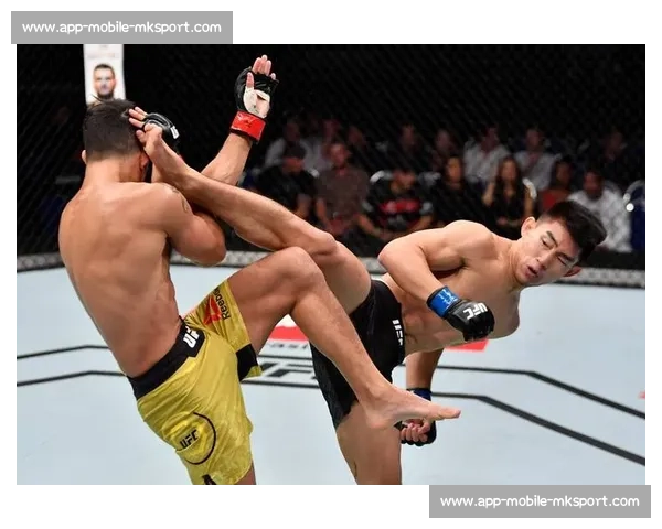 UFC 中国力量:李景亮、宋亚东等选手最新动态 UFC 中国力量:李景亮、宋亚东等选手最新动态